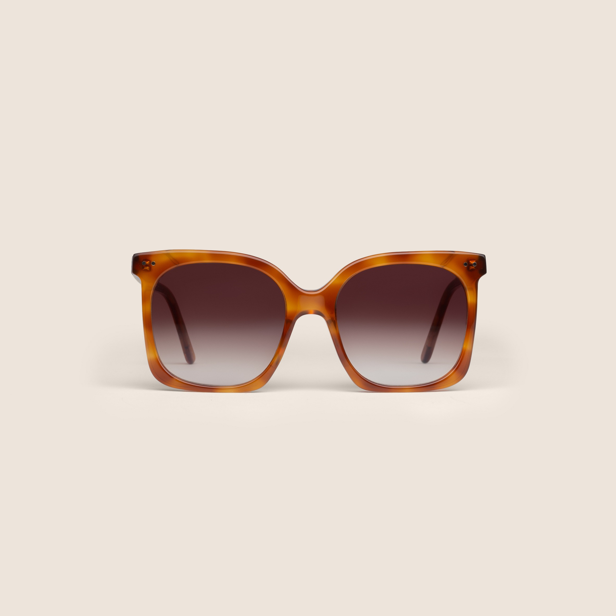 Raphaelle écaille fauve