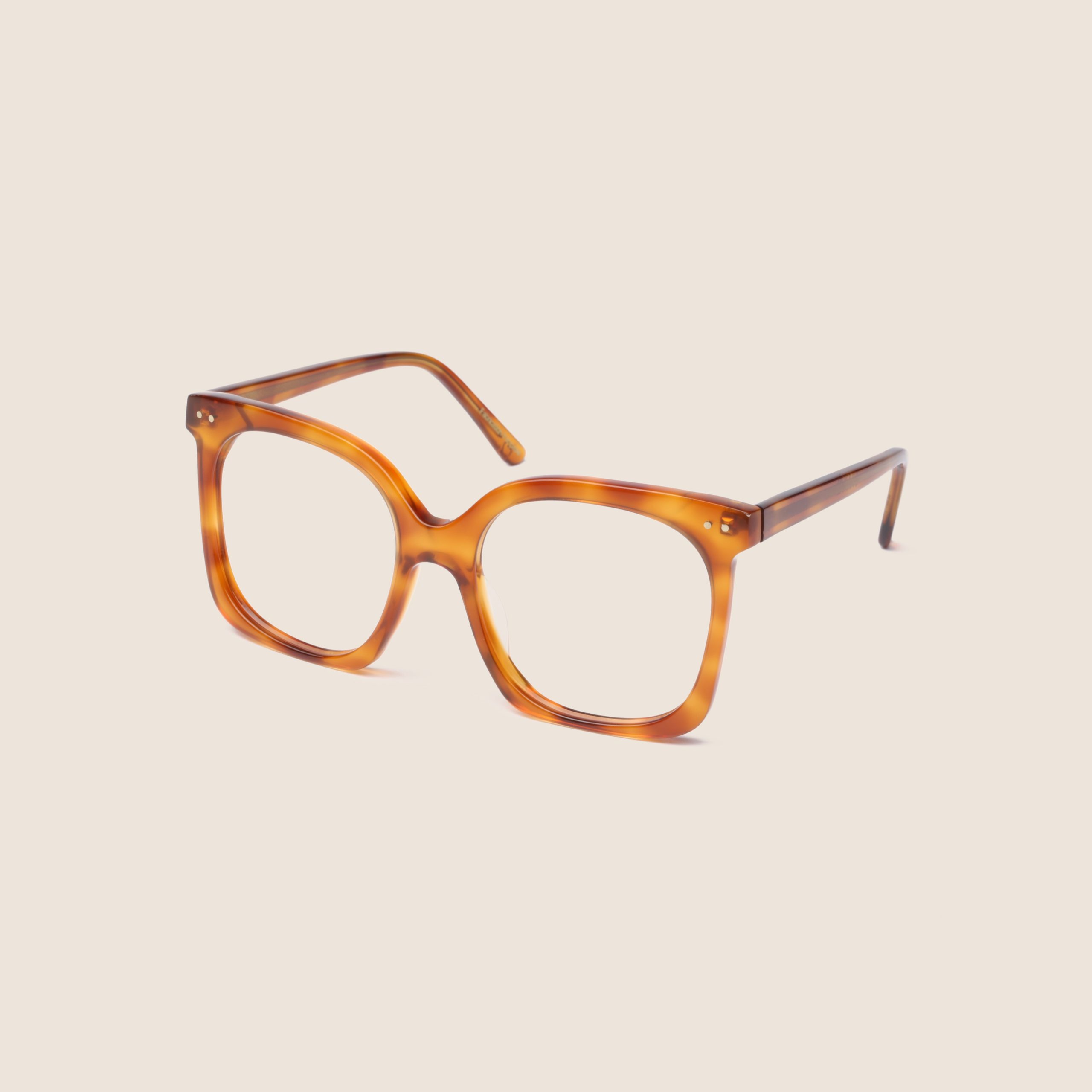 Raphaelle écaille fauve 2